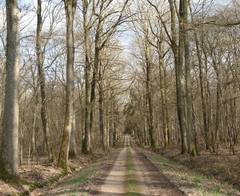 terrain forestier a vendre bretagne