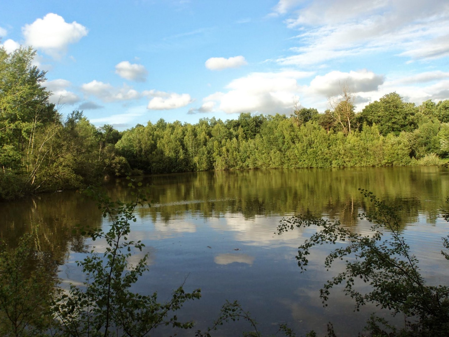 Bois Forêt étang à Vendre Dans Le 41